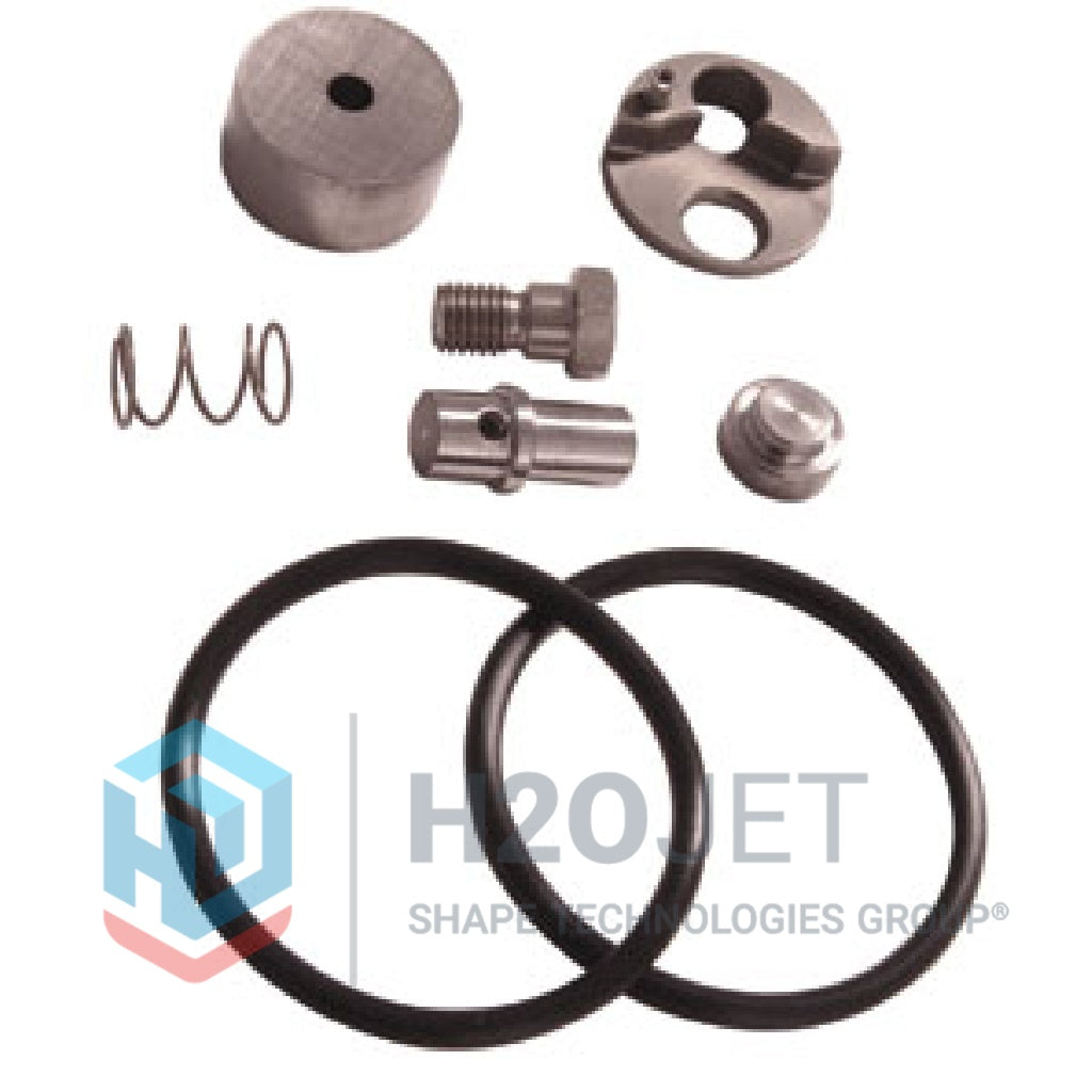 Check Valve Repair Kit